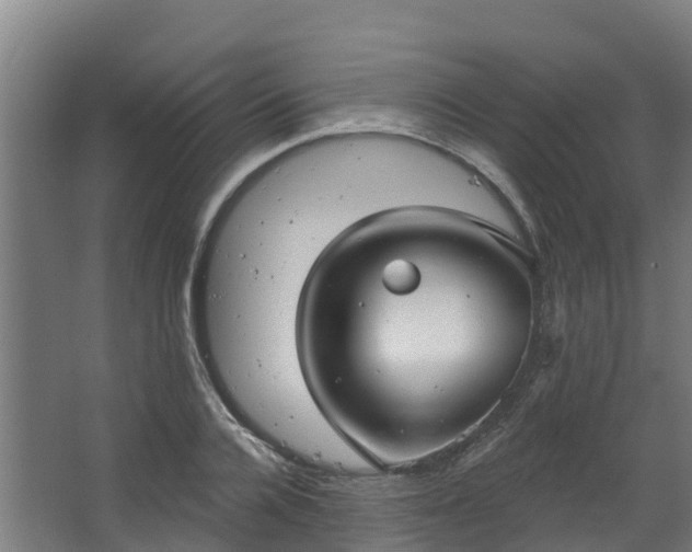 X0000068740936200605011021