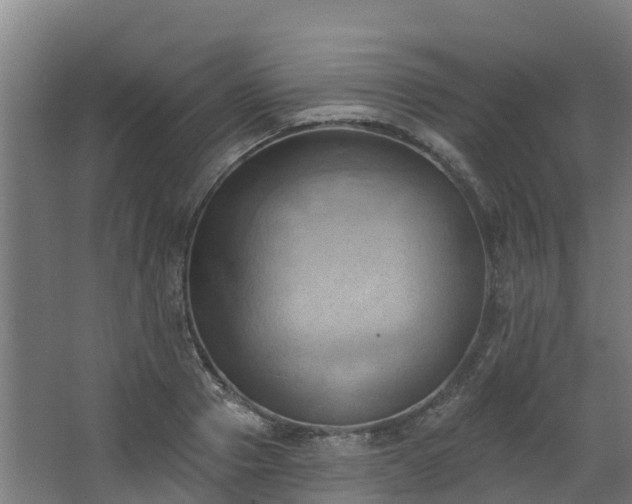 X0000068740937200605011021