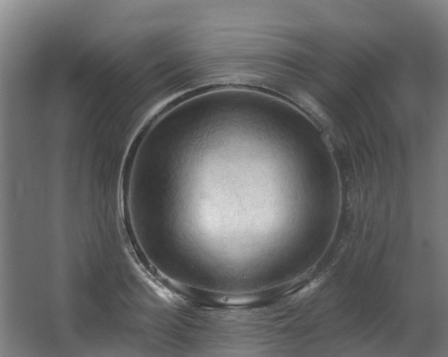 X0000068740940200605011021