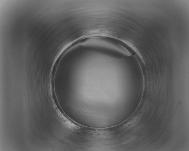 X0000068740941200605011021