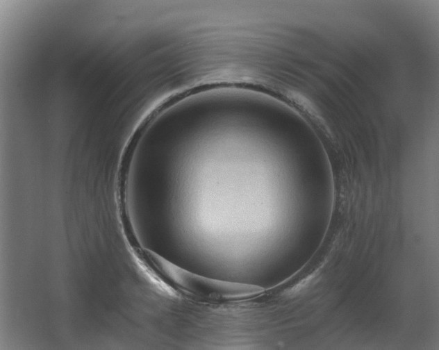 X0000068740942200605011022