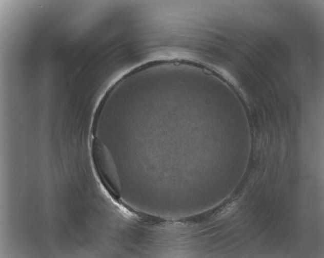 X0000068740943200605011022