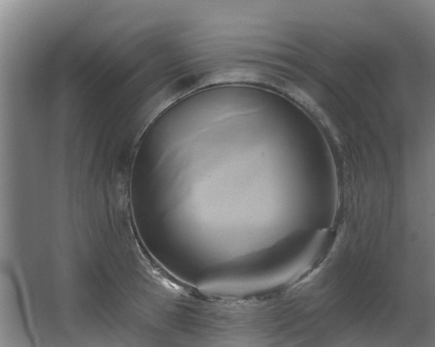 X0000068740945200605011022