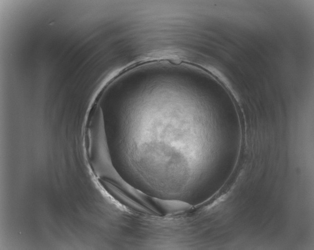 X0000068740949200605011022