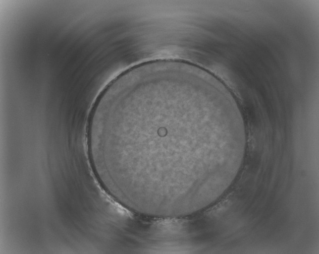 X0000068740950200605011022