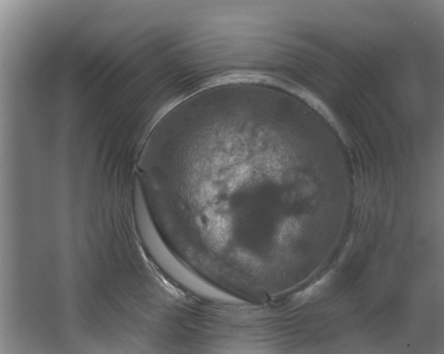 X0000068740953200605011022