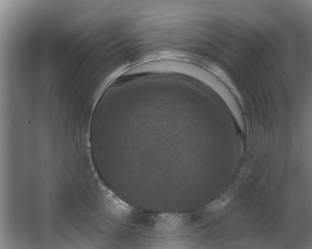 X0000068740954200605011022