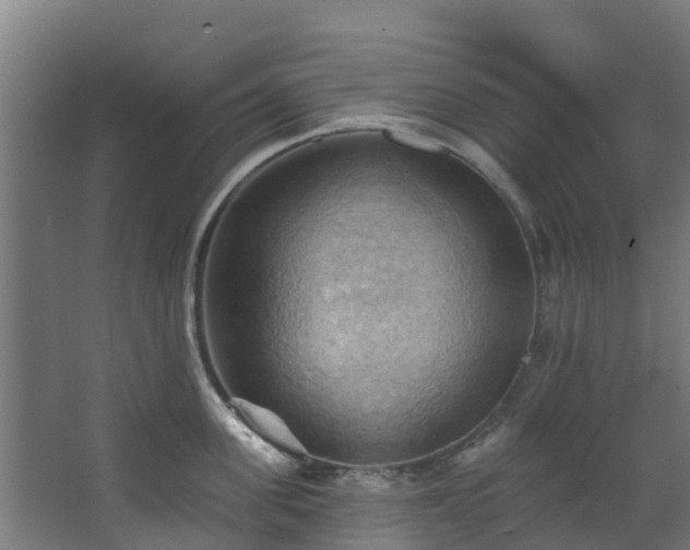 X0000068740955200605011022