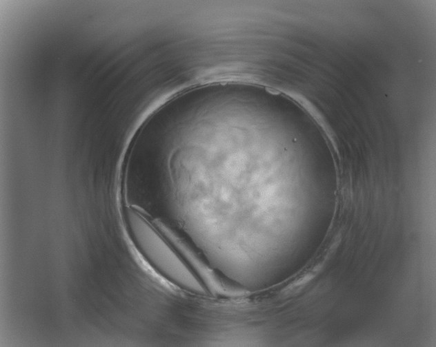 X0000068740957200605011022