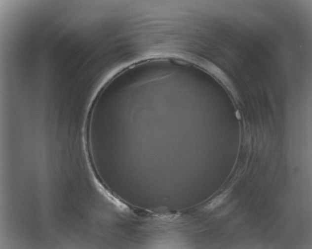 X0000068740958200605011022