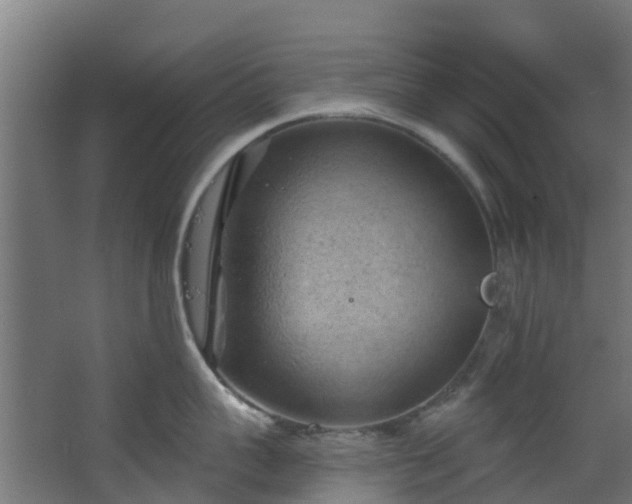 X0000068740959200605011022