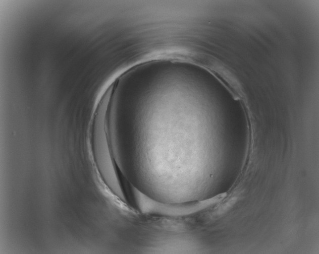 X0000068740960200605011022