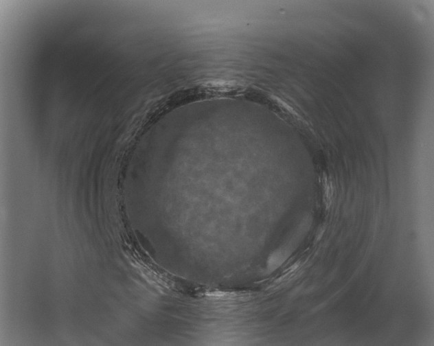 X0000068740961200605011021