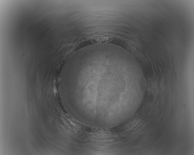 X0000068740962200605011021