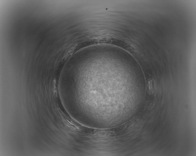 X0000068740963200605011021