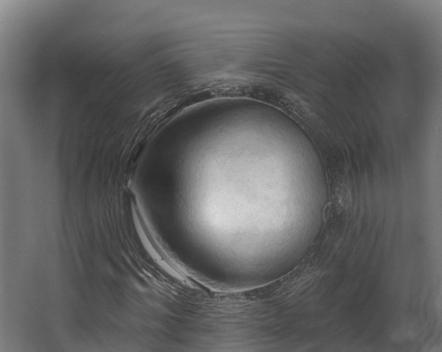 X0000068740964200605011021