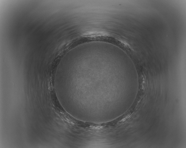 X0000068740965200605011021