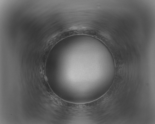 X0000068740966200605011021