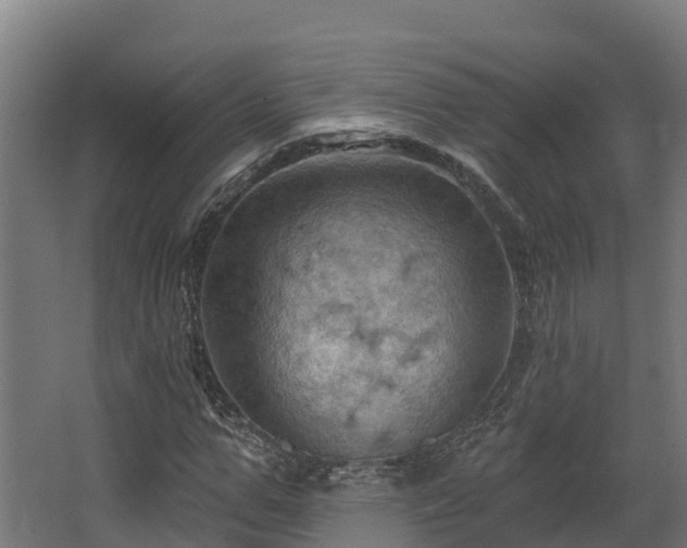 X0000068740967200605011021