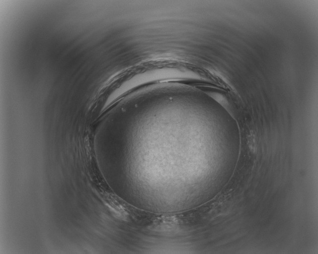 X0000068740968200605011021