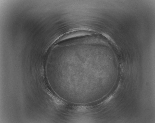 X0000068740969200605011021