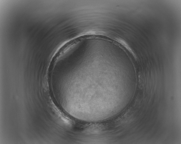 X0000068740972200605011021