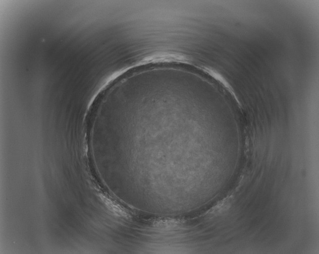 X0000068740973200605011021