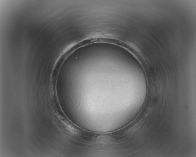 X0000068740974200605011021