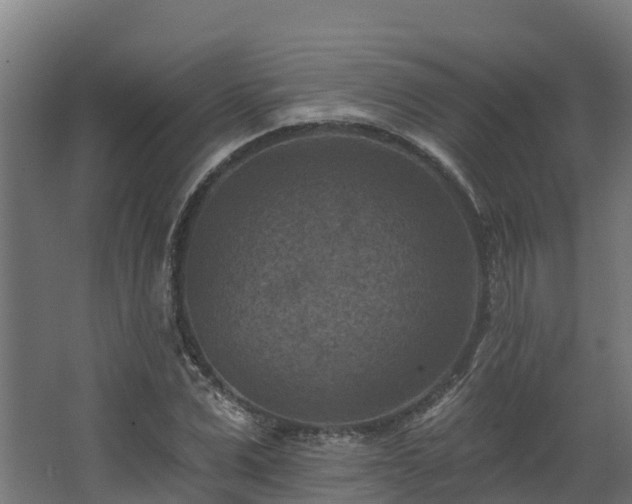 X0000068740975200605011021