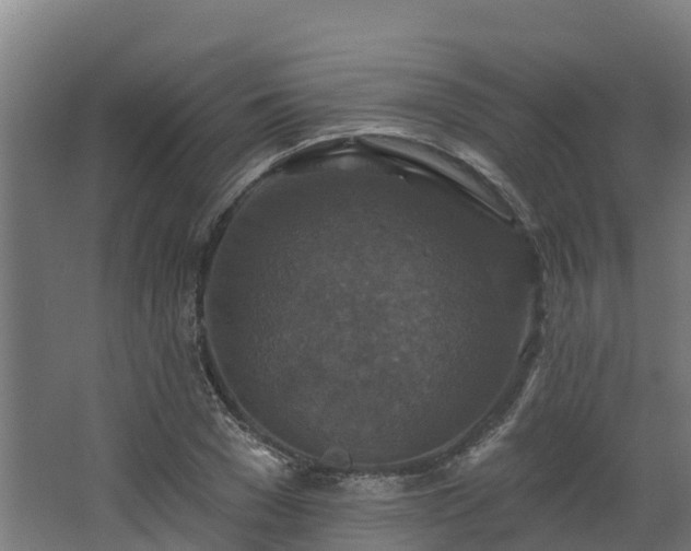 X0000068740977200605011021