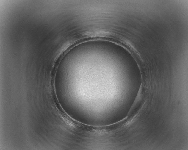 X0000068740978200605011021