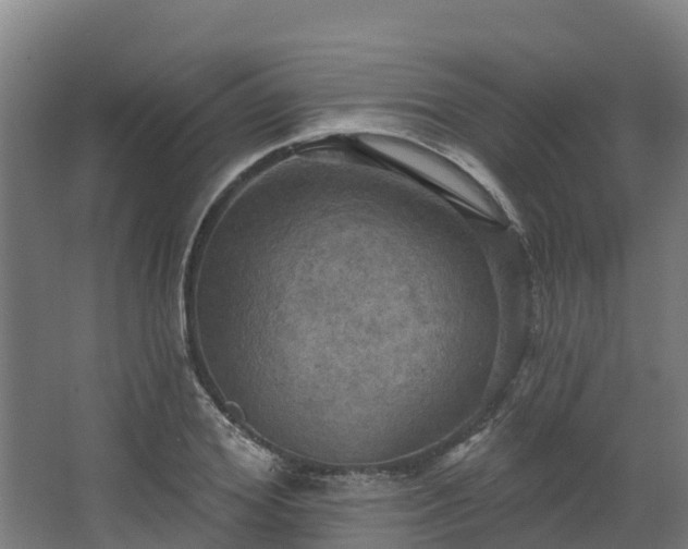 X0000068740980200605011021