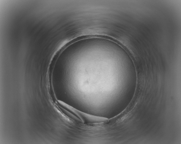 X0000068740982200605011021