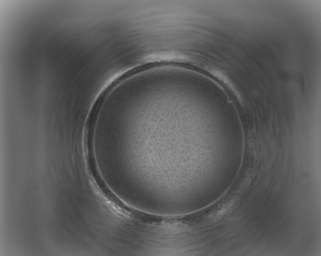 X0000068740983200605011021