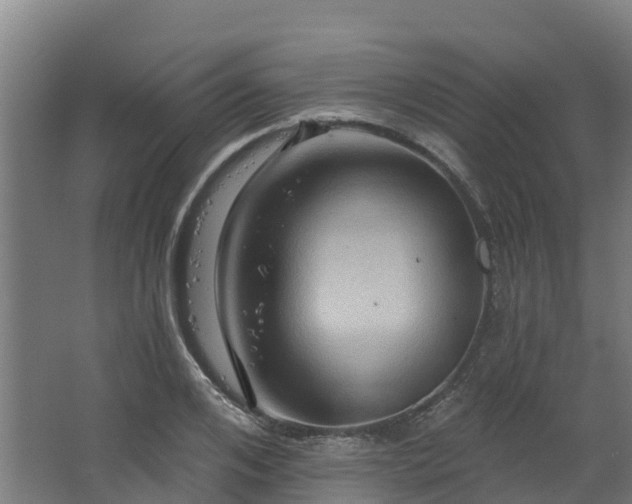 X0000068740984200605011021