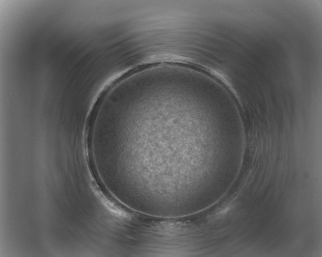 X0000068740987200605011021