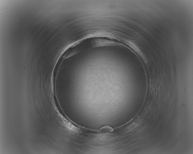 X0000068740988200605011021