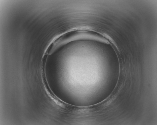 X0000068740989200605011021