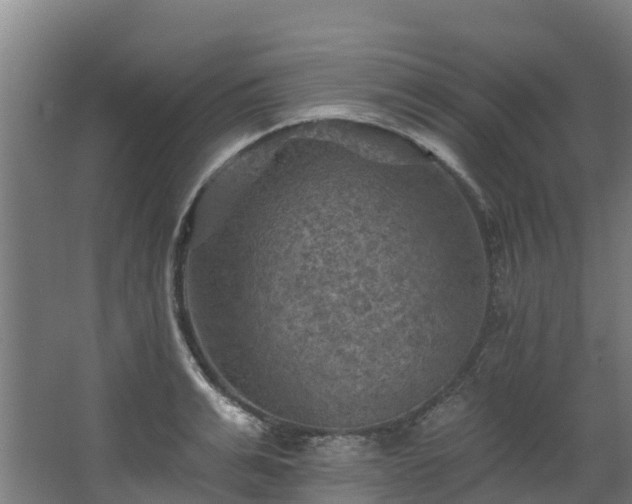 X0000068740991200605011020