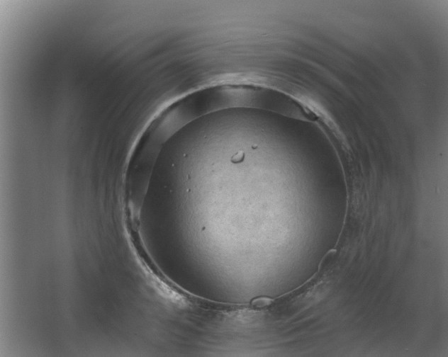 X0000068740992200605011020