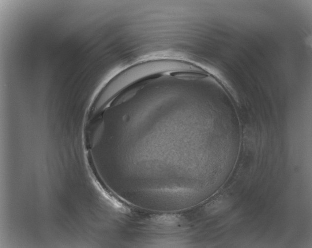 X0000068740998200605011020