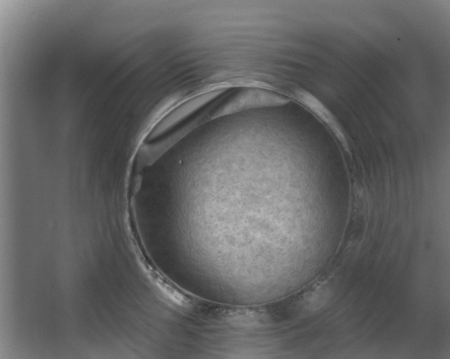 X0000068741002200605011020