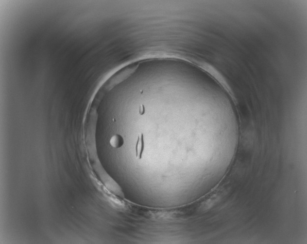 X0000068741004200605011020