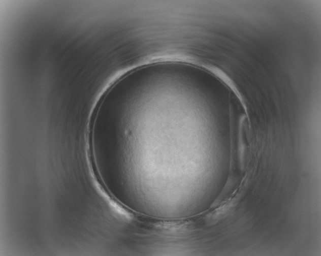 X0000068741005200605011020