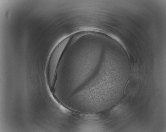 X0000068741007200605011020