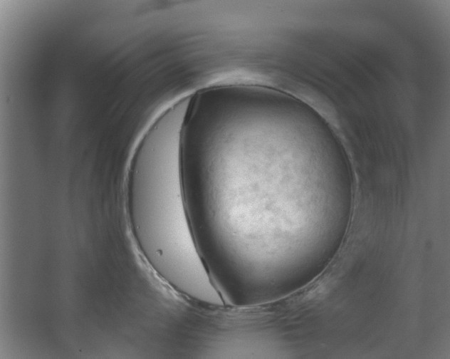 X0000068741008200605011020