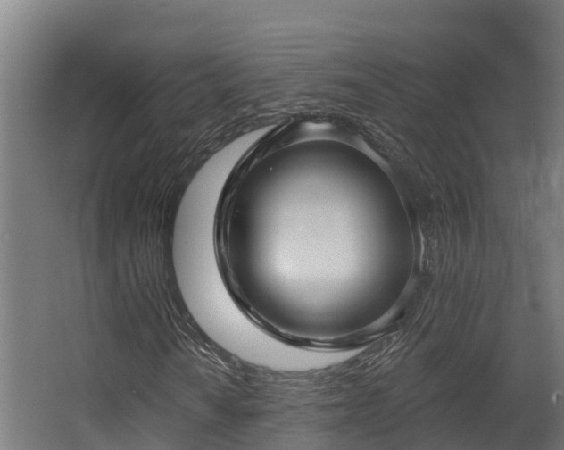 X0000068741010200605011019