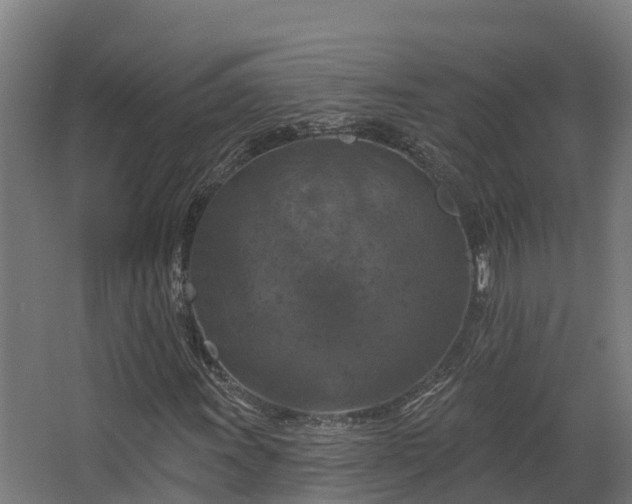 X0000068741011200605011019