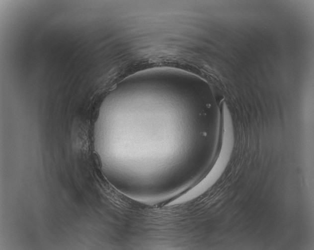 X0000068741012200605011019