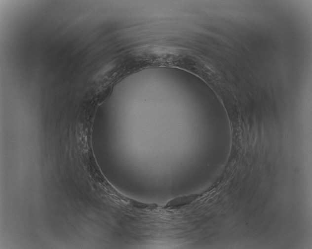 X0000068741013200605011019